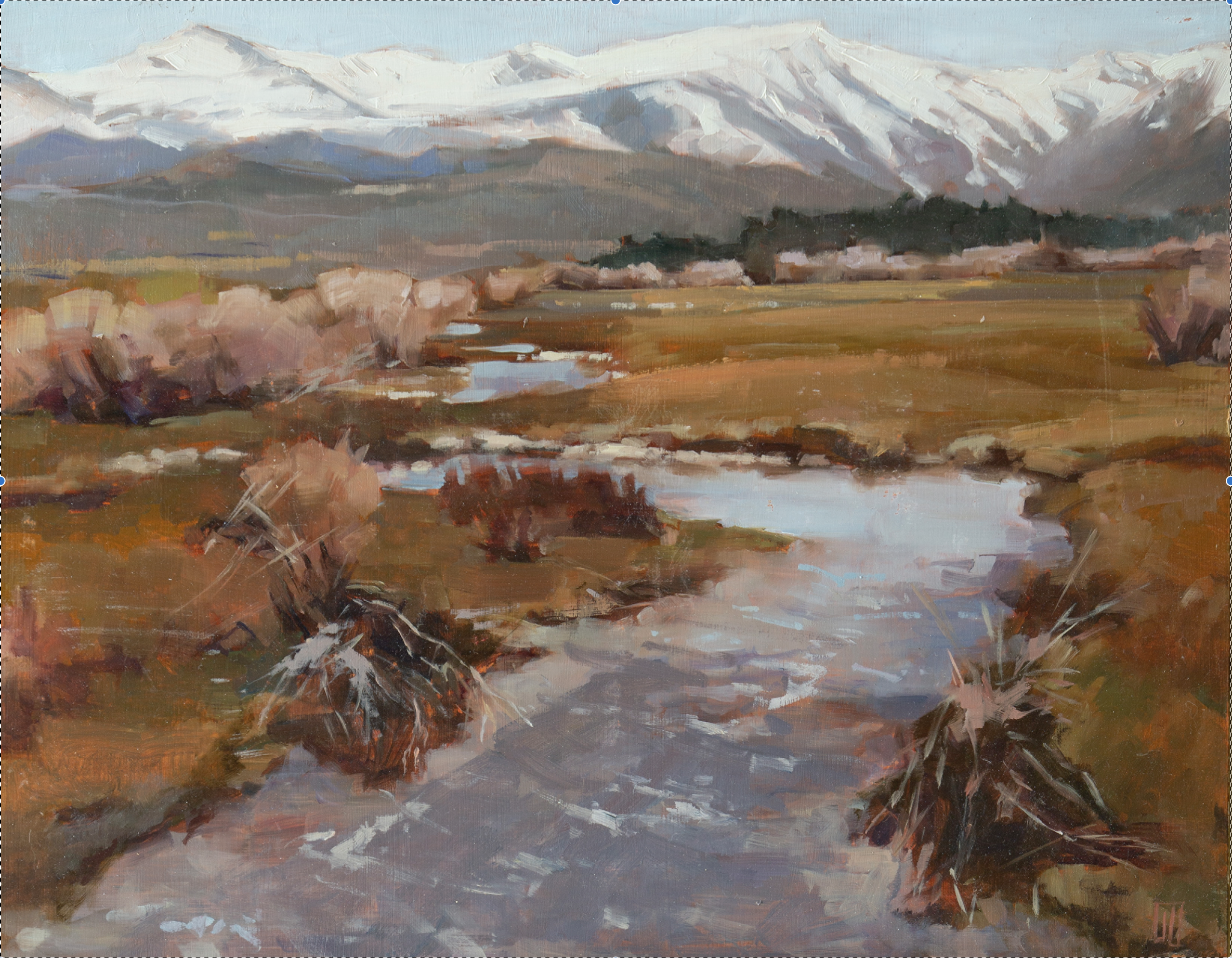 Landscape Originals and Prints