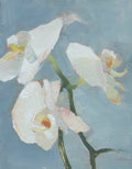 Orchids