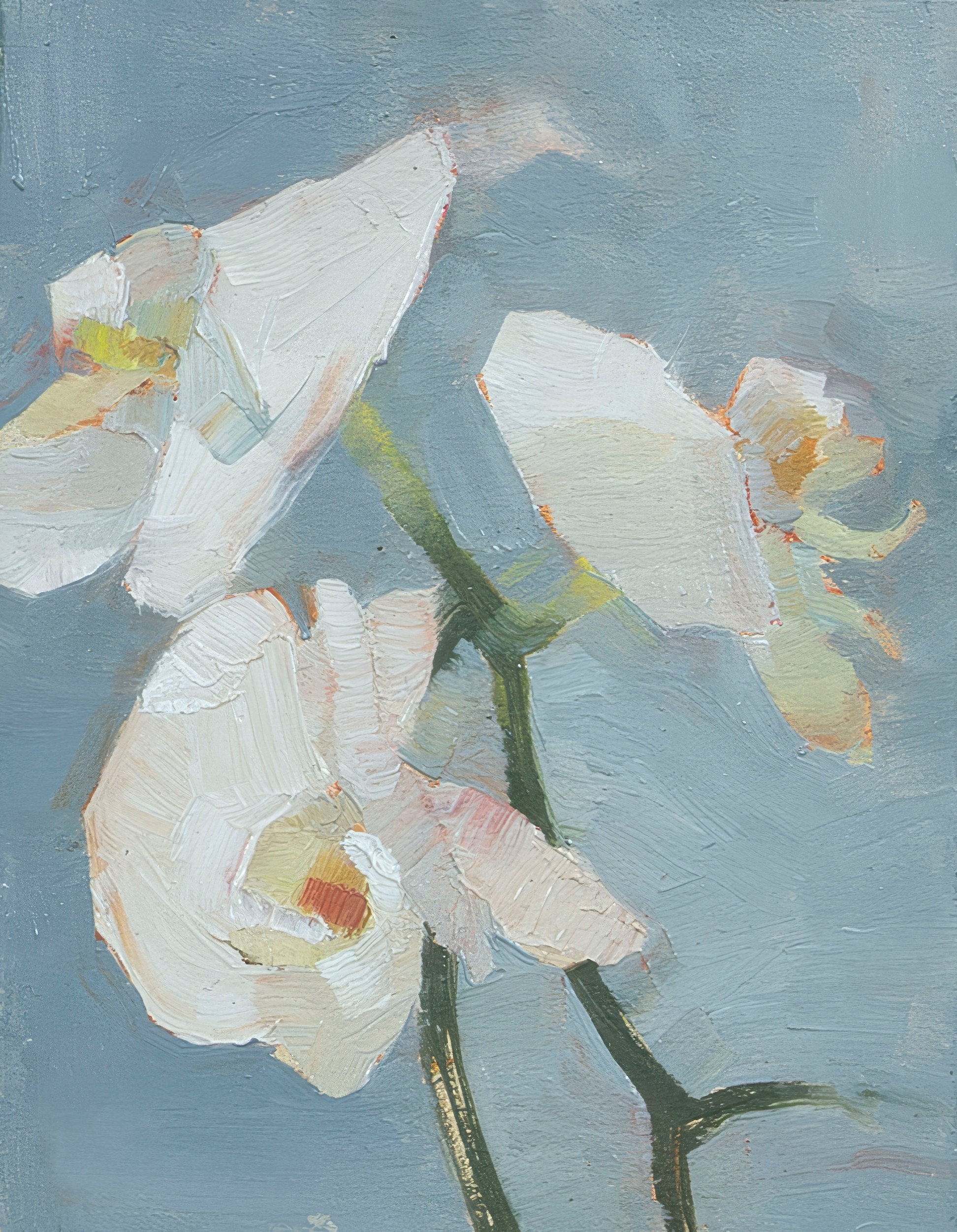 Orchids