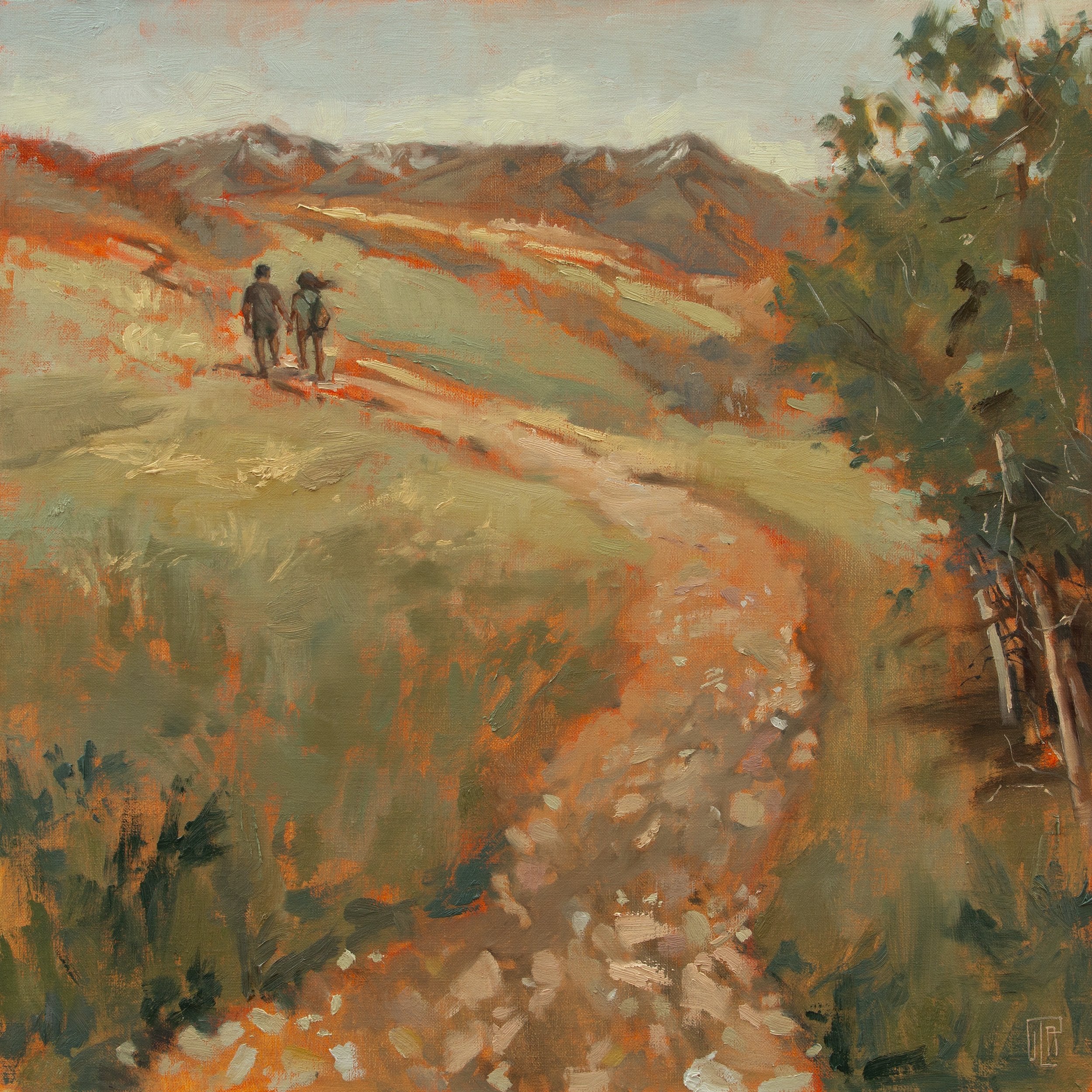 The Hike