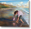 Seashells - Metal Print